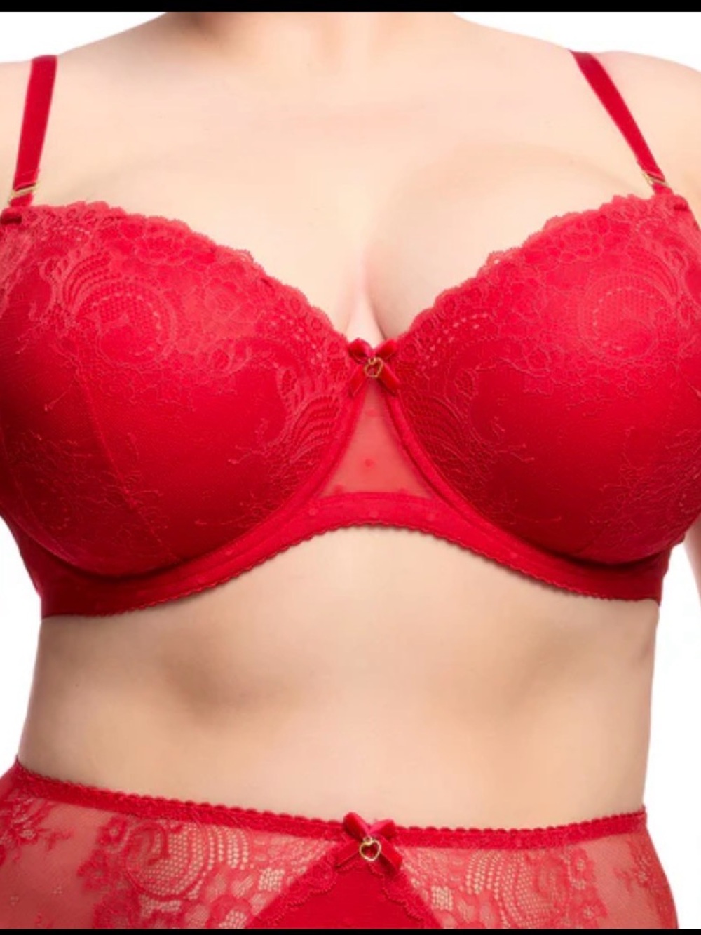 Dita Von Teese Fiamma Full Figure Bra in Rose Red 42F